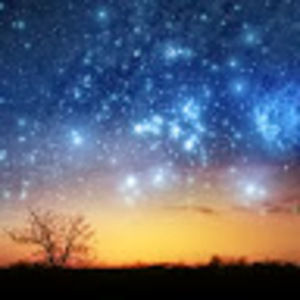 Meet your Posher, Jeannine